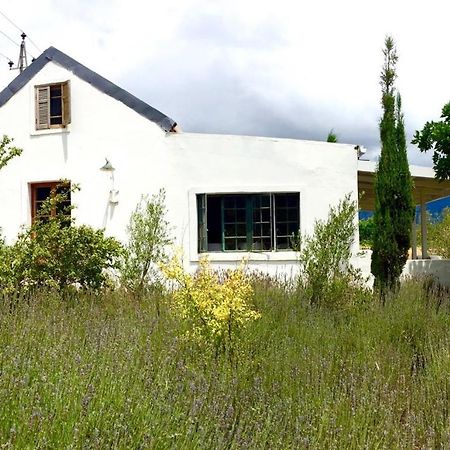 Designer Farm Cottage On Farm Франсхук Экстерьер фото